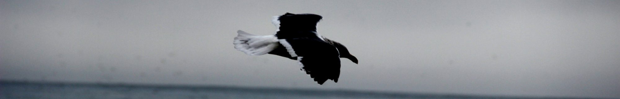 Coffee After Midnight